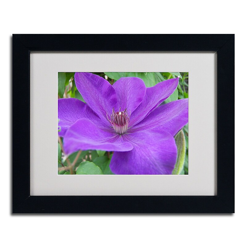 Trademark Monica Fleet "Purple Flower" Art, White Matte W/Black Frame, 11" x 14" image 1