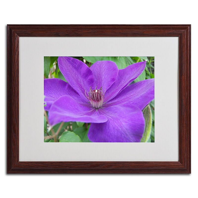 Trademark Monica Fleet "Purple Flower" Art, White Matte W/Wood Frame, 16" x 20" image 1
