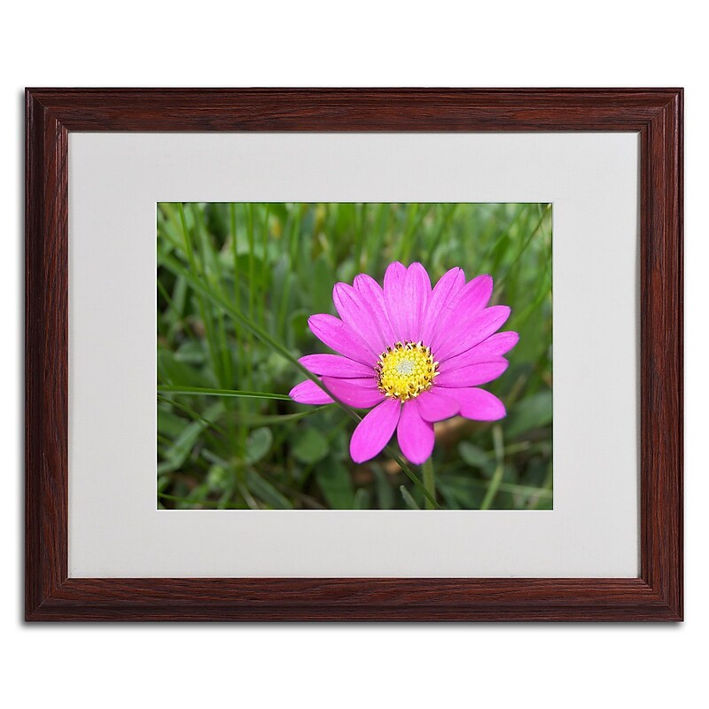 Trademark Monica Fleet "Alluring Vibrance" Art, White Matte W/Wood Frame, 16" x 20" image 1