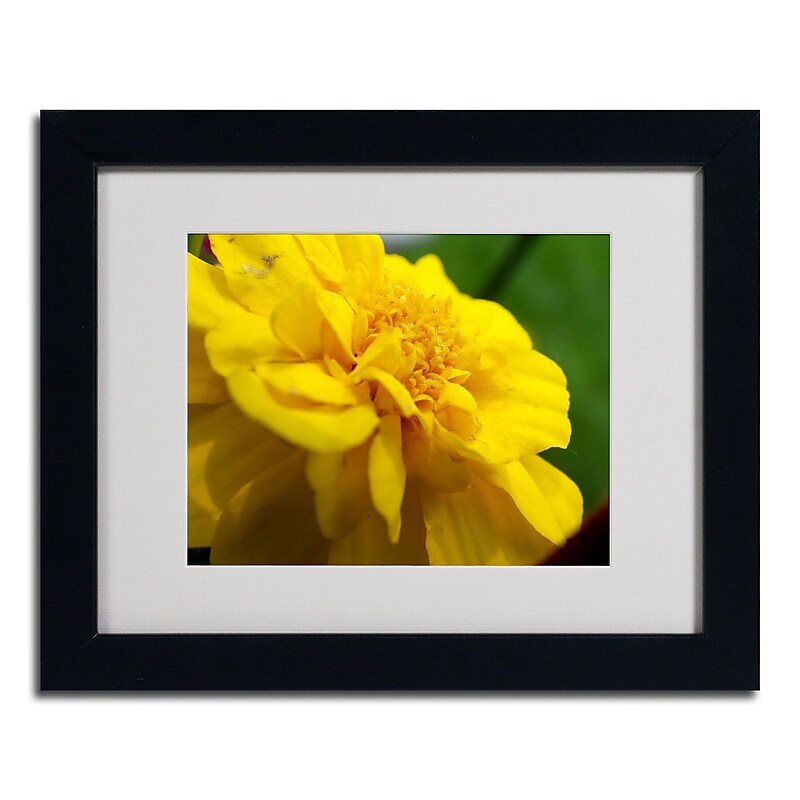 Trademark Monica Fleet "Ambiguous Vision" Art, White Matte W/Black Frame, 11" x 14" image 1