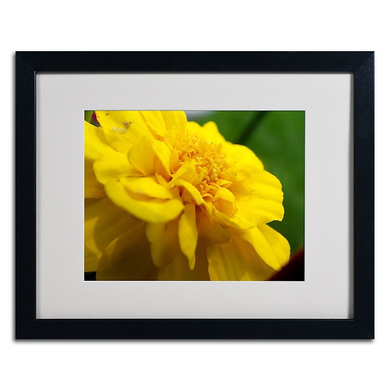 Trademark Monica Fleet "Ambiguous Vision" Art, White Matte W/Black Frame, 16" x 20" image 1