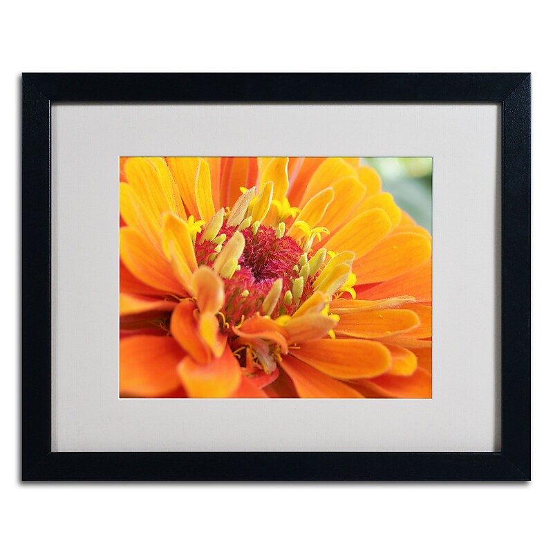 Trademark Monica Fleet "Balanced Beauty" Art, White Matte W/Black Frame, 16" x 20" image 1