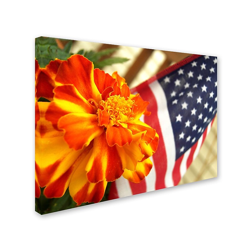 Trademark Monica Fleet "Grace in Honor" Gallery-Wrapped Canvas Art, 14" x 19" image 1