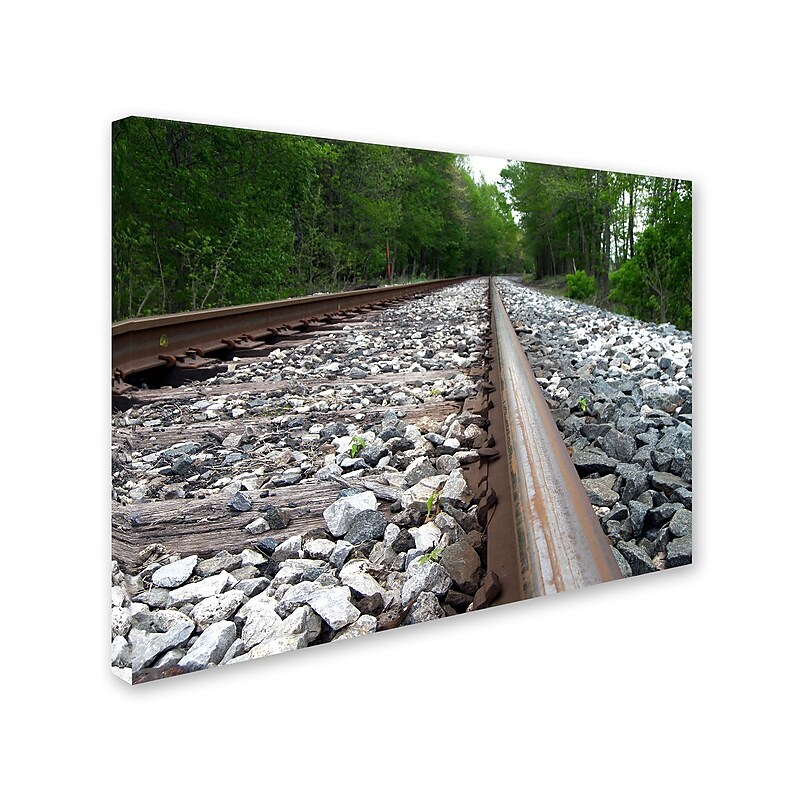 Trademark Monica Fleet "Guided Journey" Gallery-Wrapped Canvas Art, 35" x 47" image 1