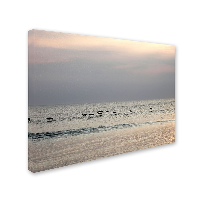 Trademark Monica Fleet "Harmony" Gallery-Wrapped Canvas Art, 35" x 47" image 1