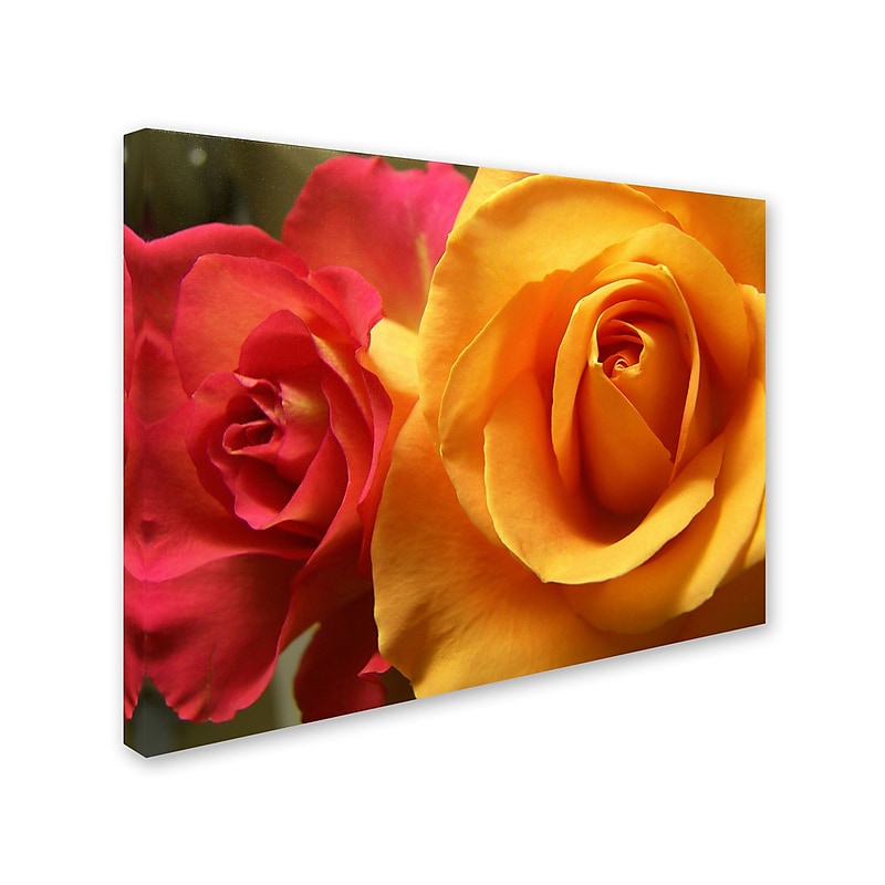 Trademark Monica Fleet "Ideal Balance" Gallery-Wrapped Canvas Art, 18" x 24" image 1