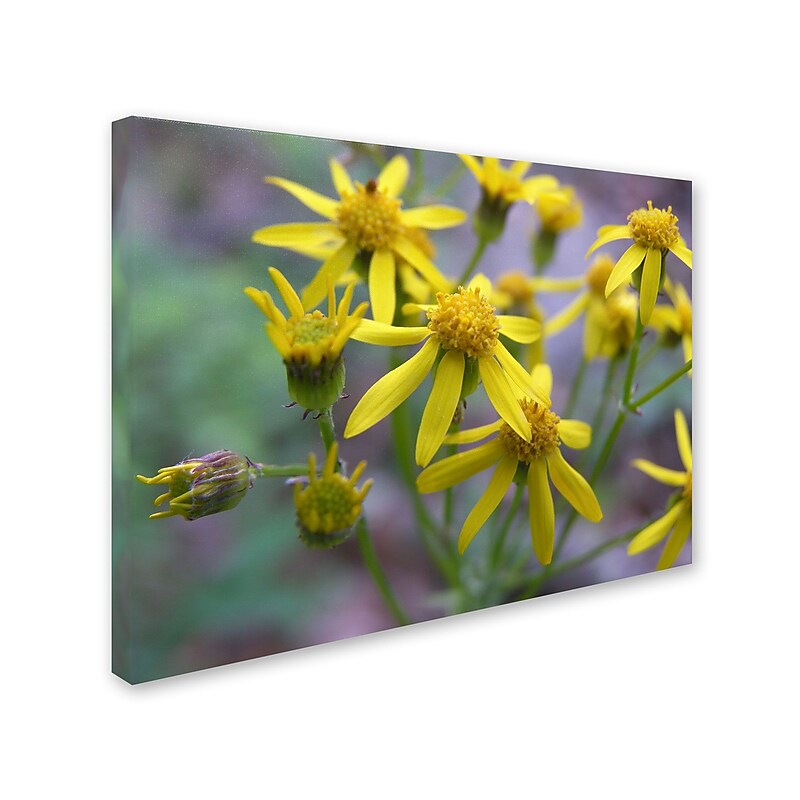 Trademark Monica Fleet "Intriguing Dynasty" Gallery-Wrapped Canvas Art, 35" x 47" image 1