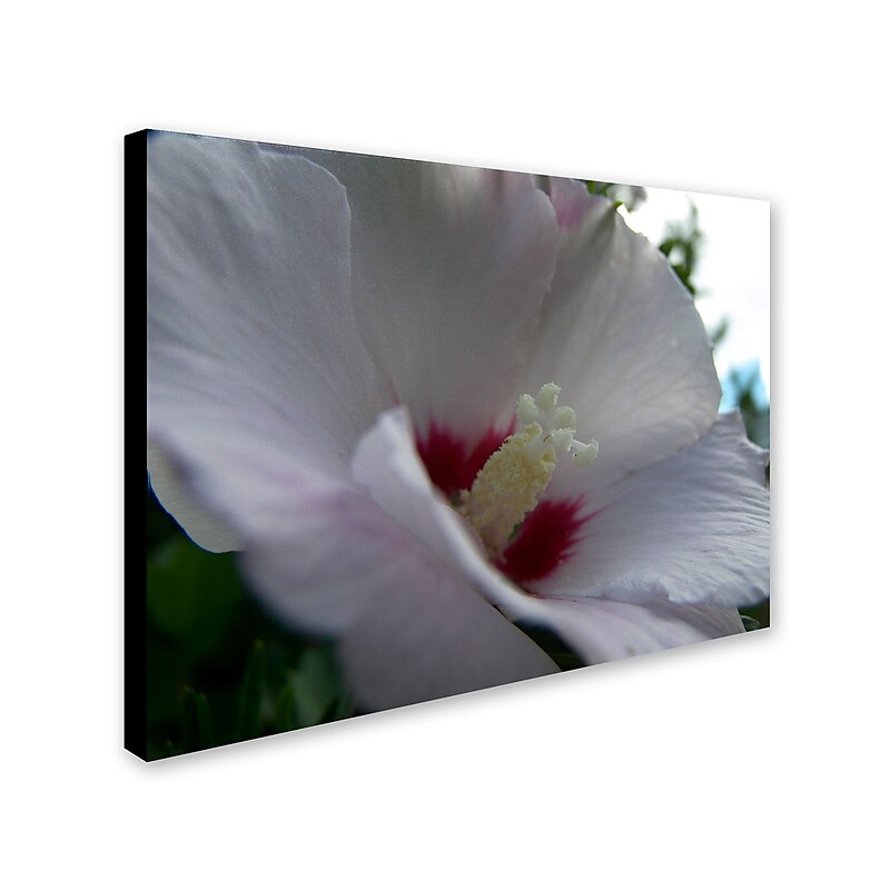 Trademark Monica Fleet "Ka Nani" Gallery-Wrapped Canvas Art, 24" x 32" image 1