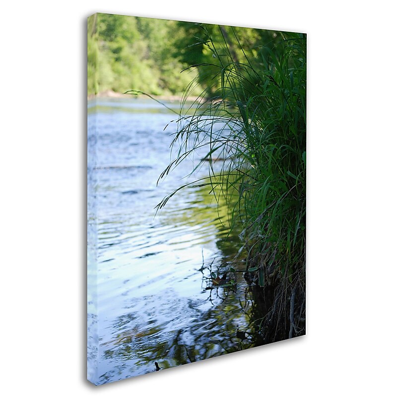 Trademark Monica Fleet "Lani" Gallery-Wrapped Canvas Art, 35" x 47" image 1