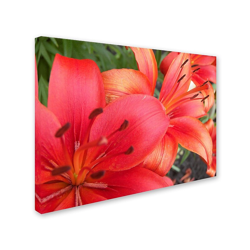 Trademark Monica Fleet "Lehua" Gallery-Wrapped Canvas Art, 35" x 47" image 1