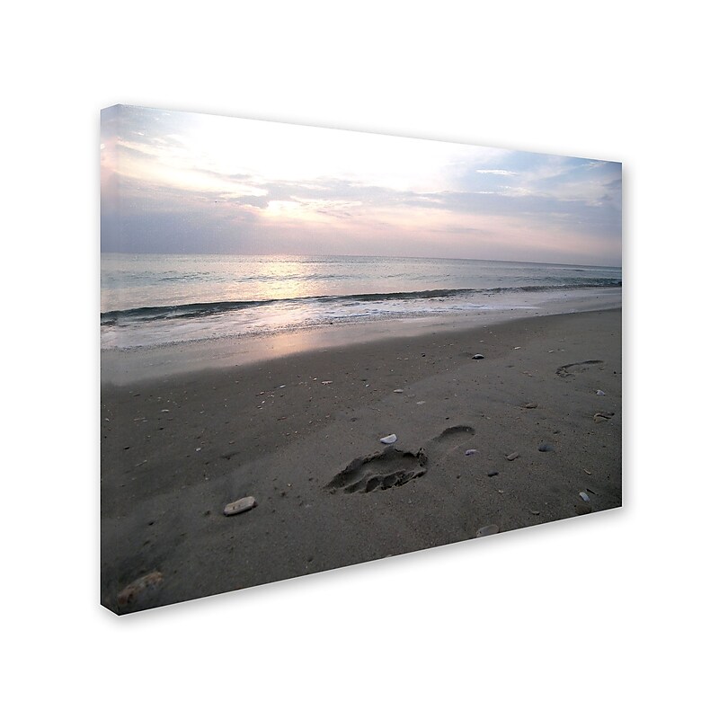 Trademark Monica Fleet "Marks Left" Gallery-Wrapped Canvas Art, 18" x 24" image 1