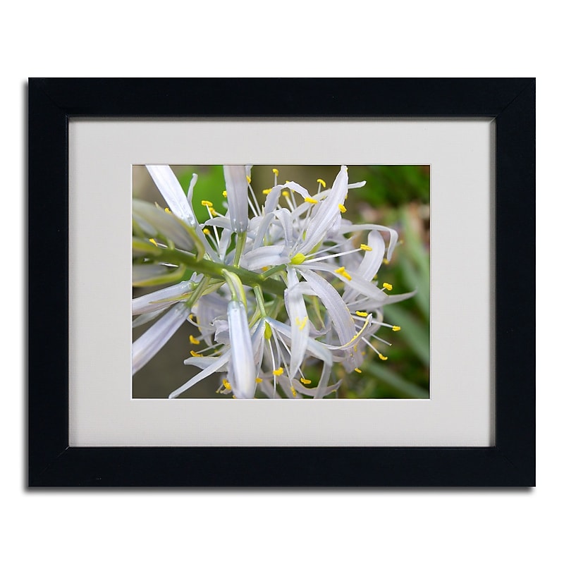 Trademark Monica Fleet "Bundle of Illusion" Art, White Matte W/Black Frame, 11" x 14" image 1