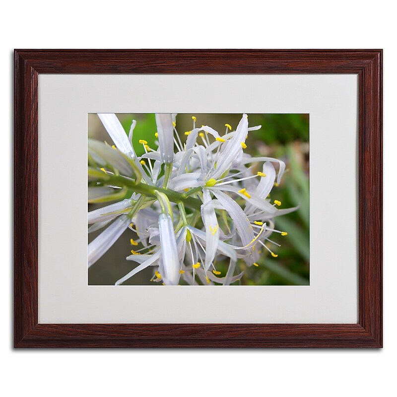 Trademark Monica Fleet "Bundle of Illusion" Art, White Matte W/Wood Frame, 16" x 20" image 1