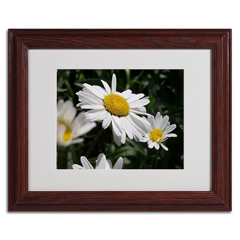 Trademark Monica Fleet "Dominating Beauty" Art, White Matte W/Wood Frame, 11" x 14" image 1