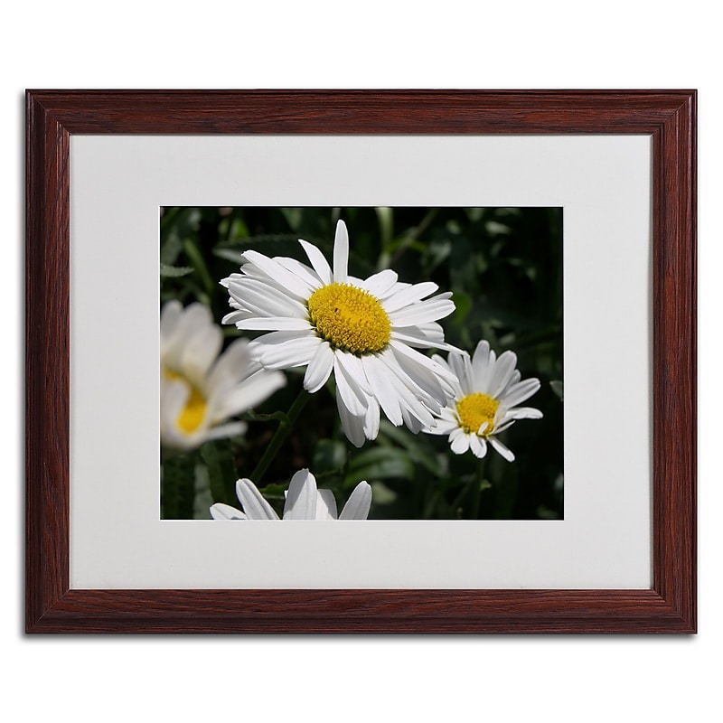 Trademark Monica Fleet "Dominating Beauty" Art, White Matte W/Wood Frame, 16" x 20" image 1