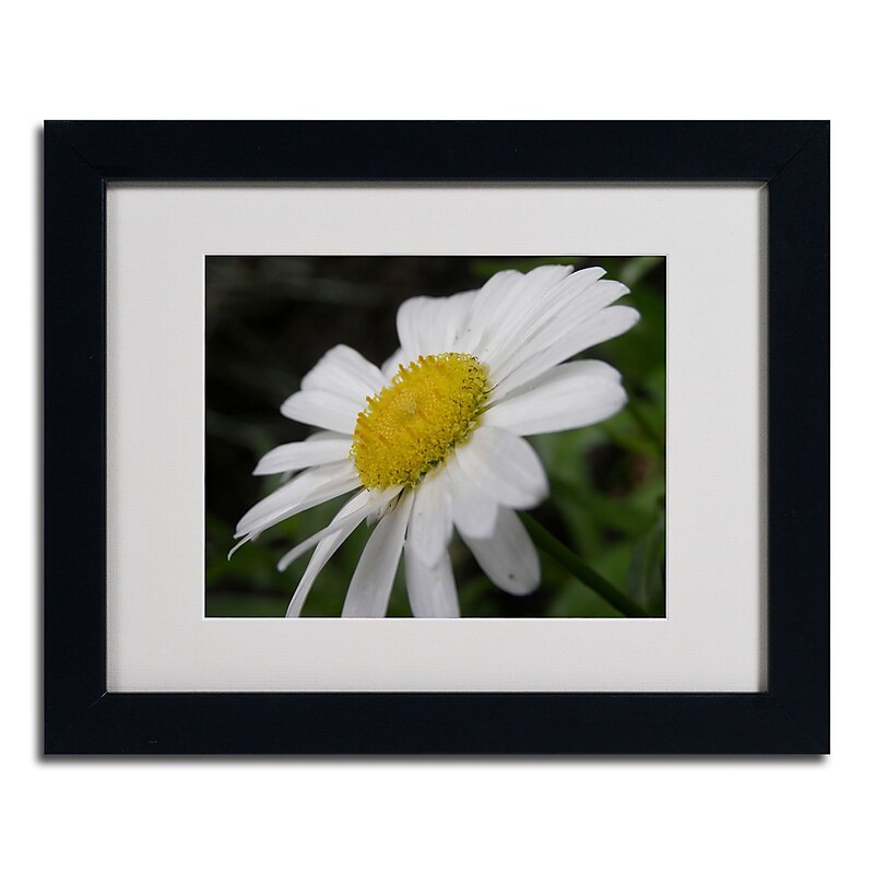 Trademark Monica Fleet "Dynamic Beauty" Art, White Matte W/Black Frame, 11" x 14" image 1