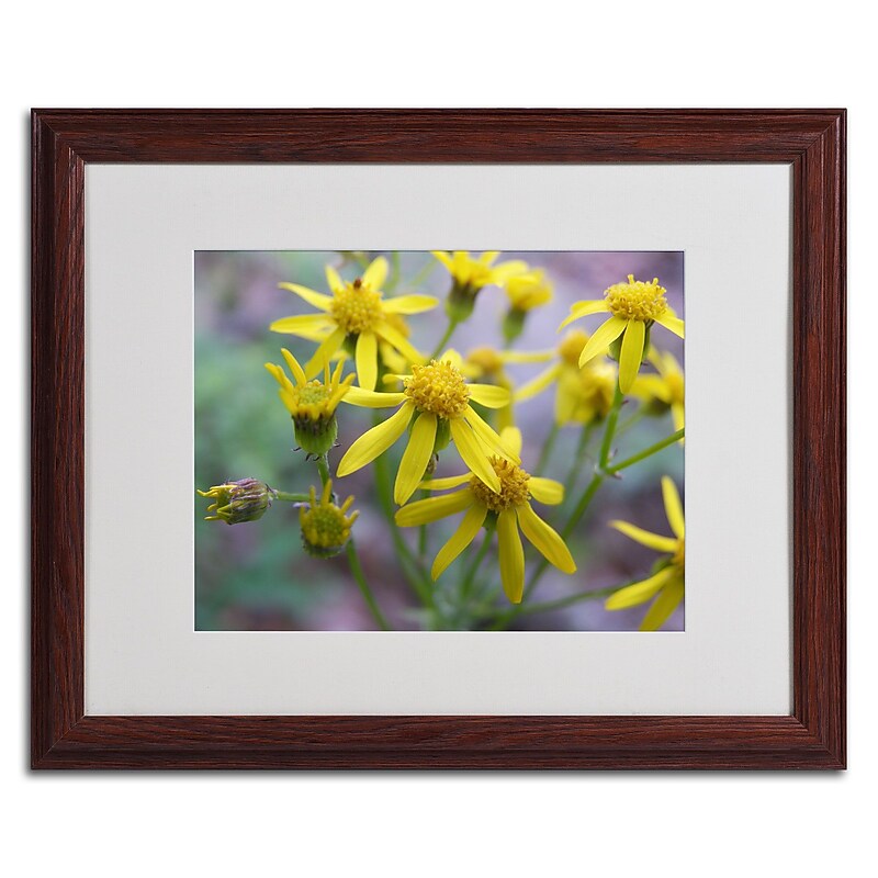Trademark Monica Fleet "Intriguing Dynasty" Art, White Matte W/Wood Frame, 16" x 20" image 1
