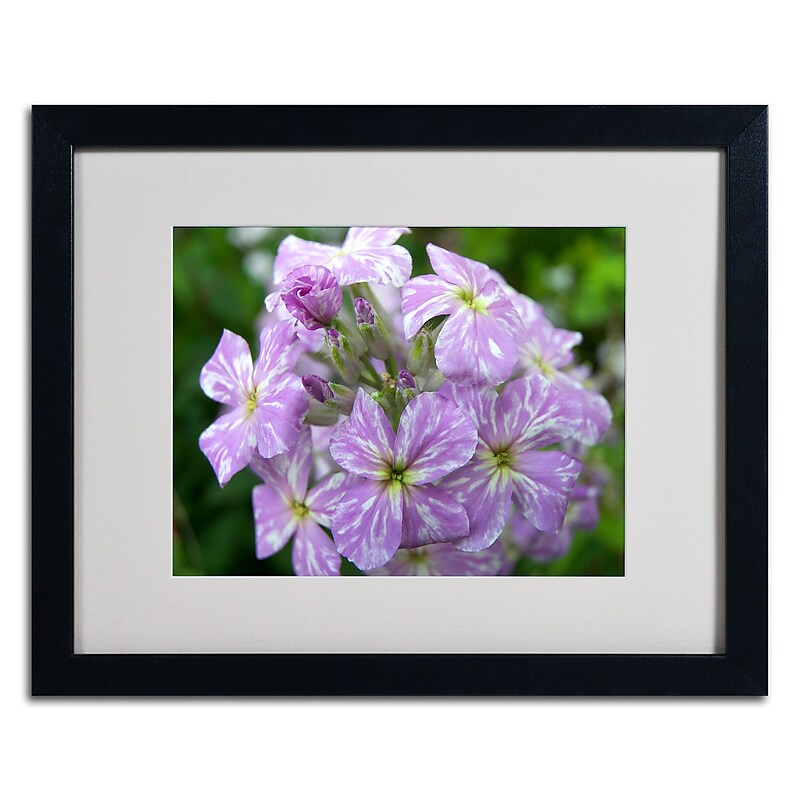 Trademark Monica Fleet "Lambent Glow" Art, White Matte W/Black Frame, 16" x 20" image 1