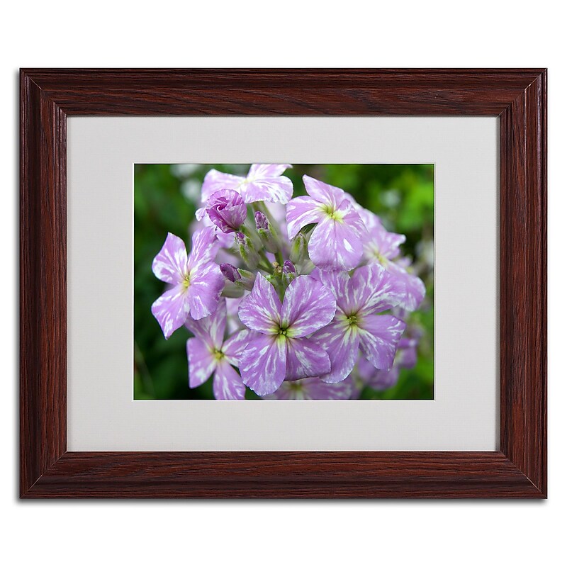 Trademark Monica Fleet "Lambent Glow" Art, White Matte W/Wood Frame, 11" x 14" image 1