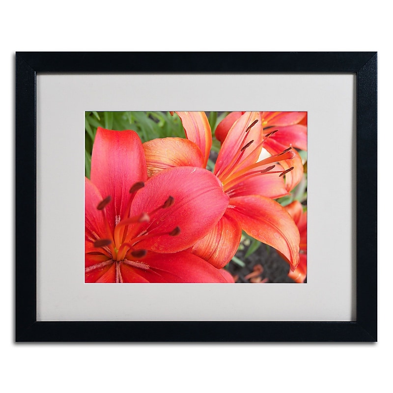 Trademark Monica Fleet "Lehua" Art, White Matte W/Black Frame, 16" x 20" image 1