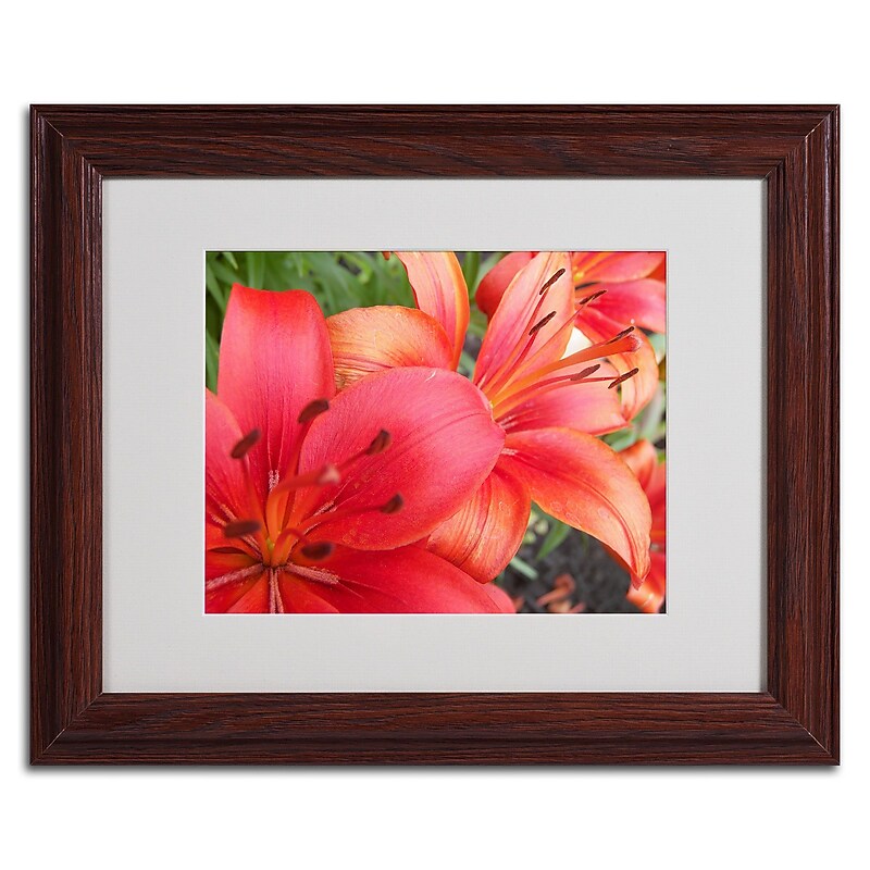 Trademark Monica Fleet "Lehua" Art, White Matte W/Wood Frame, 11" x 14" image 1