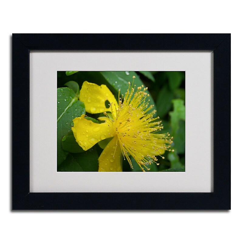 Trademark Monica Fleet "Mana" Art, White Matte W/Black Frame, 11" x 14" image 1