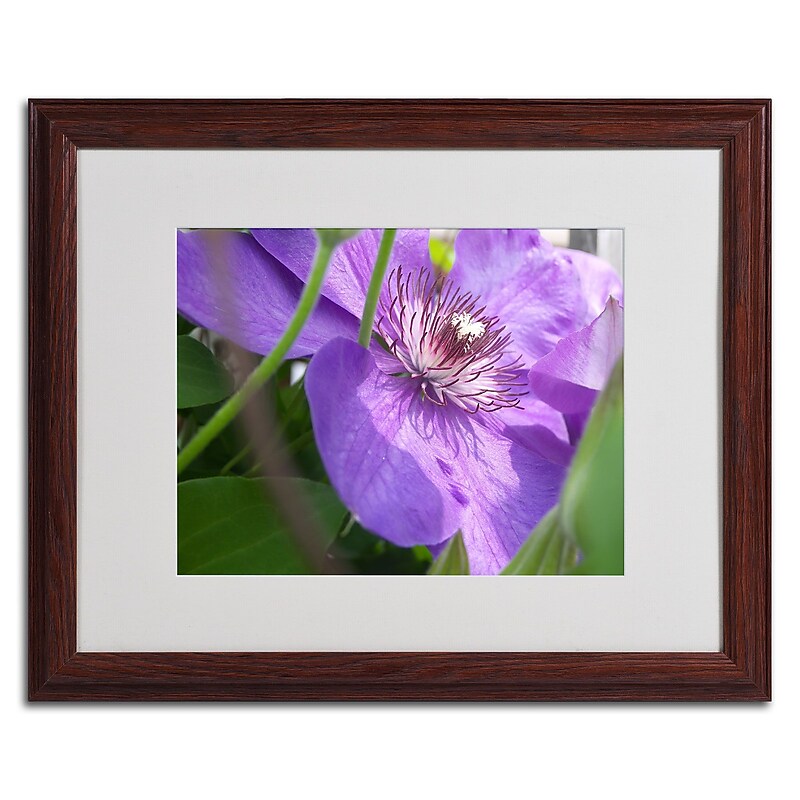 Trademark Monica Fleet "Meaningful Bliss" Art, White Matte W/Wood Frame, 16" x 20" image 1