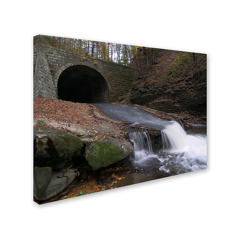 Trademark Monica Fleet "Monotonous Beauty" Gallery-Wrapped Canvas Art, 18" x 24" image 1