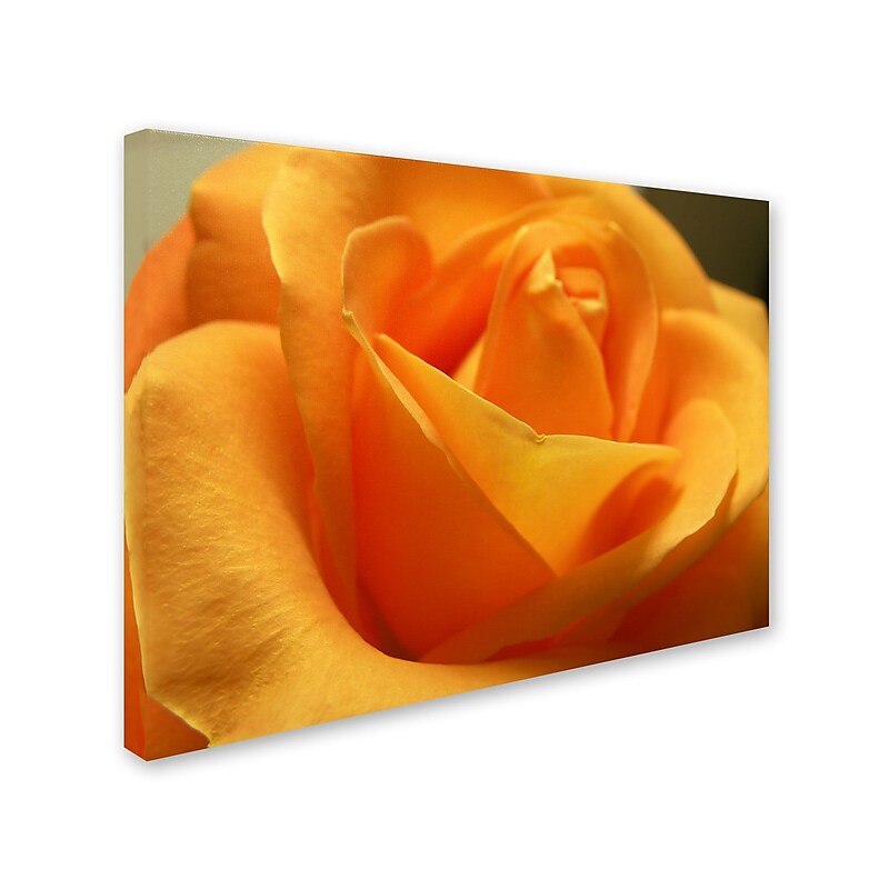Trademark Monica Fleet "Mothers Embrace" Gallery-Wrapped Canvas Art, 35" x 47" image 1