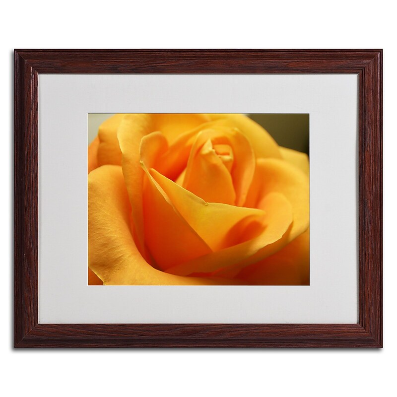 Trademark Monica Fleet "Mothers Embrace" Art, White Matte W/Wood Frame, 16" x 20" image 1