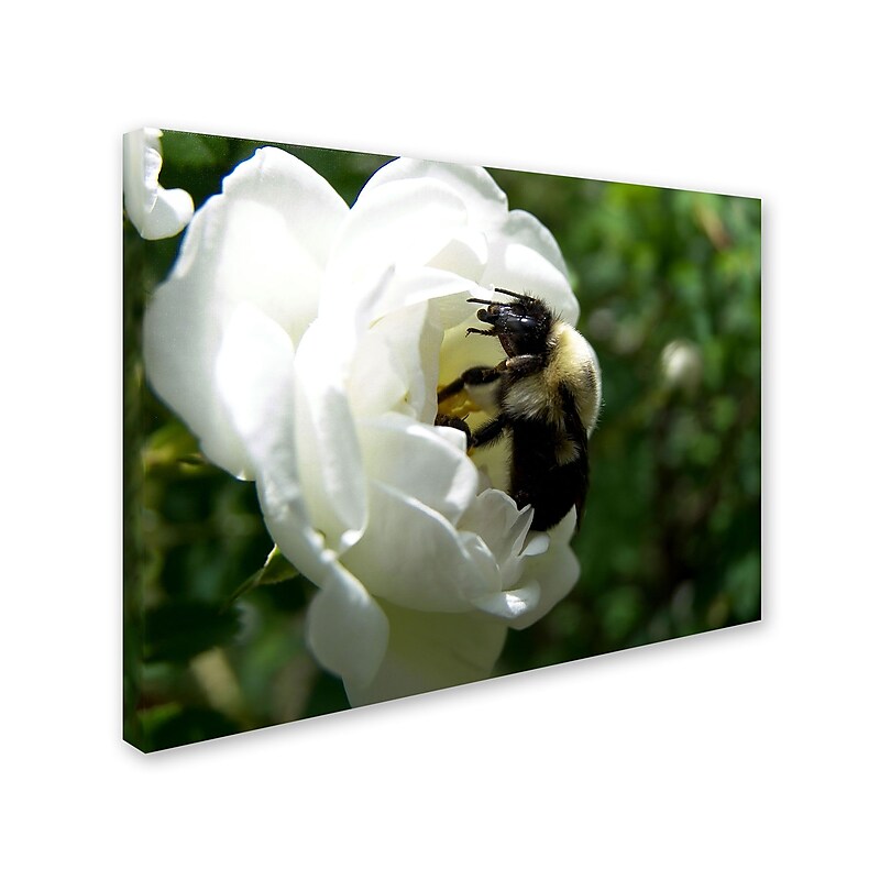 Trademark Monica Fleet "Passionate Desire" Gallery-Wrapped Canvas Art, 35" x 47" image 1