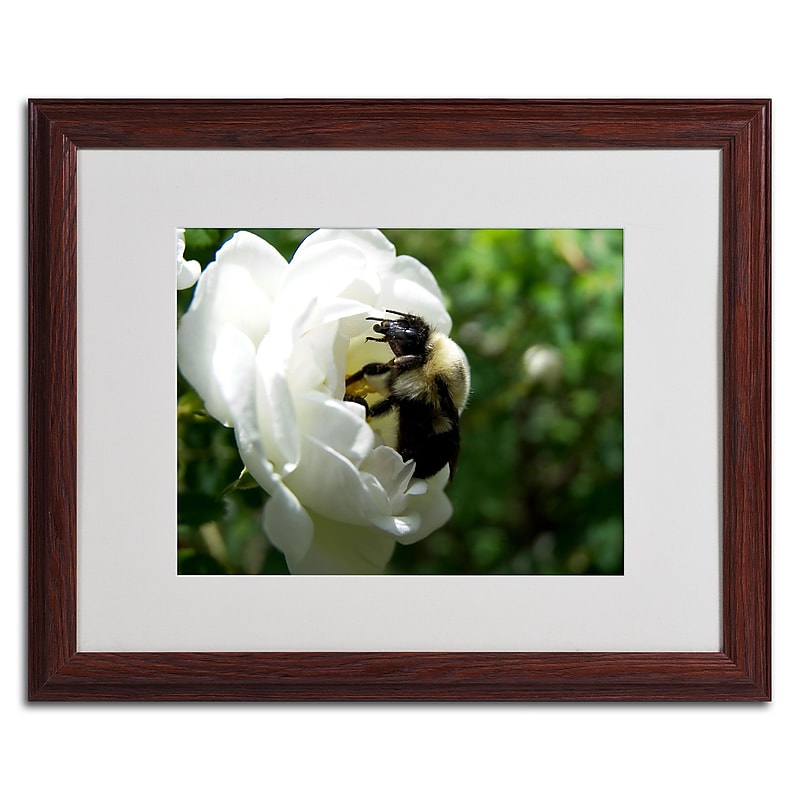 Trademark Monica Fleet "Passionate Desire" Art, White Matte W/Wood Frame, 16" x 20" image 1