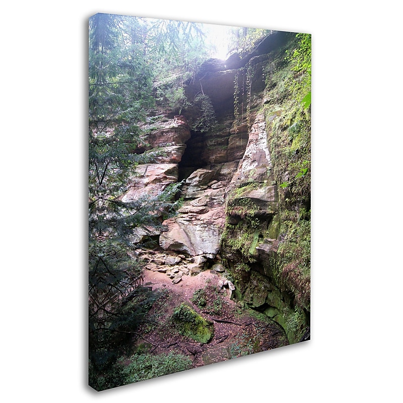 Trademark Monica Fleet "Powerful Walls" Gallery-Wrapped Canvas Art, 35" x 47" image 1