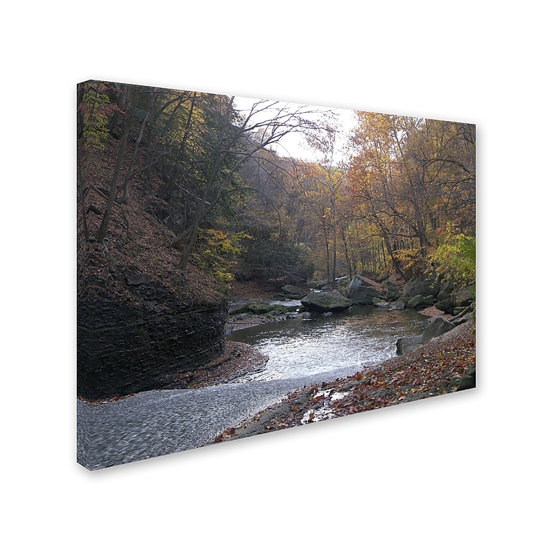 Trademark Monica Fleet "Prosaic" Gallery-Wrapped Canvas Art, 35" x 47" image 1