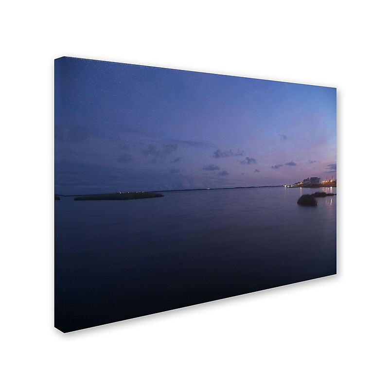 Trademark Monica Fleet "Pure Elegance" Gallery-Wrapped Canvas Art, 24" x 32" image 1