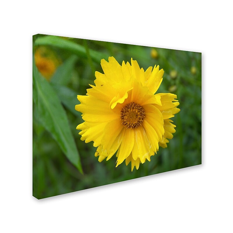 Trademark Monica Fleet "Purity" Gallery-Wrapped Canvas Art, 24" x 32" image 1