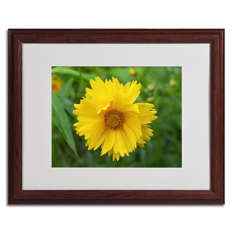 Trademark Monica Fleet "Purity" Art, White Matte W/Wood Frame, 16" x 20" image 1