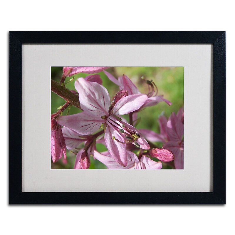 Trademark Monica Fleet "Refined Grace" Art, White Matte W/Black Frame, 16" x 20" image 1