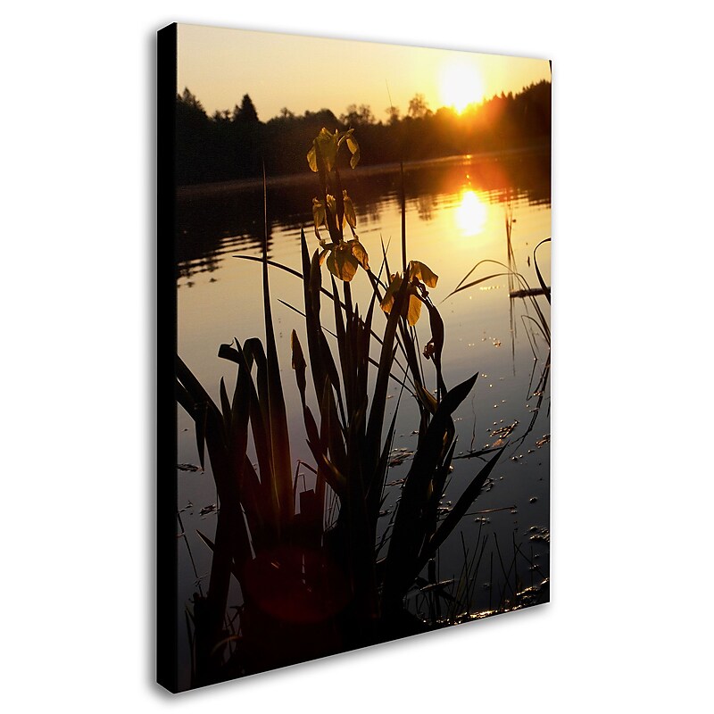 Trademark Monica Fleet "Reflective Strength" Gallery-Wrapped Canvas Art, 18" x 24" image 1