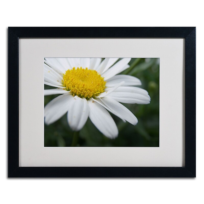 Trademark Monica Fleet "Simplistic" Art, White Matte W/Black Frame, 16" x 20" image 1