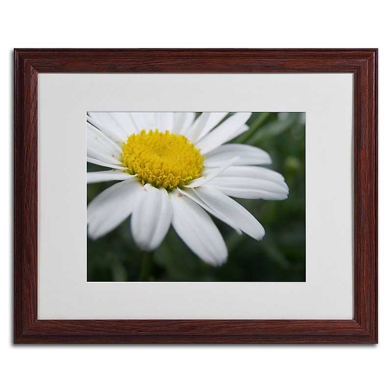 Trademark Monica Fleet "Simplistic" Art, White Matte W/Wood Frame, 16" x 20" image 1