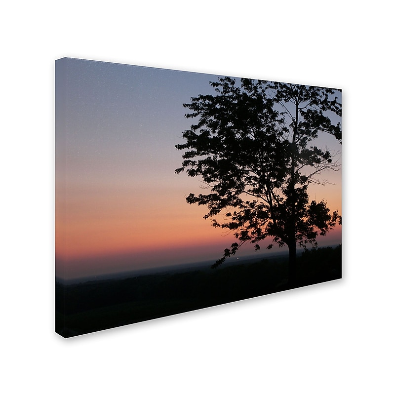 Trademark Monica Fleet "Soothing Symmetry" Gallery-Wrapped Canvas Art, 35" x 47" image 1