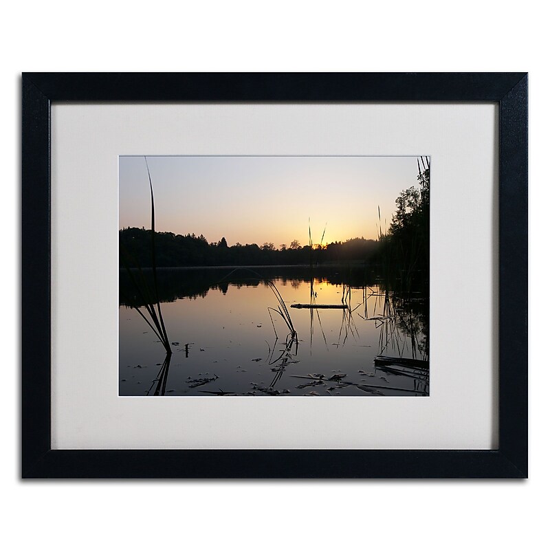 Trademark Monica Fleet "Surreal" Art, White Matte W/Black Frame, 16" x 20" image 1