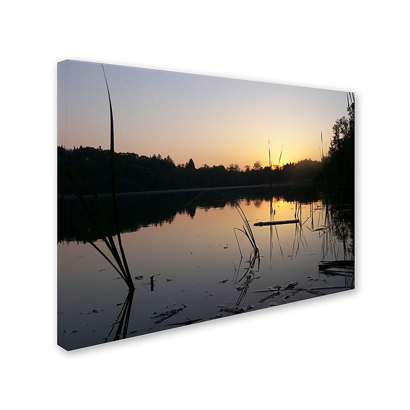 Trademark Monica Fleet "Surreal" Gallery-Wrapped Canvas Art, 35" x 47" image 1