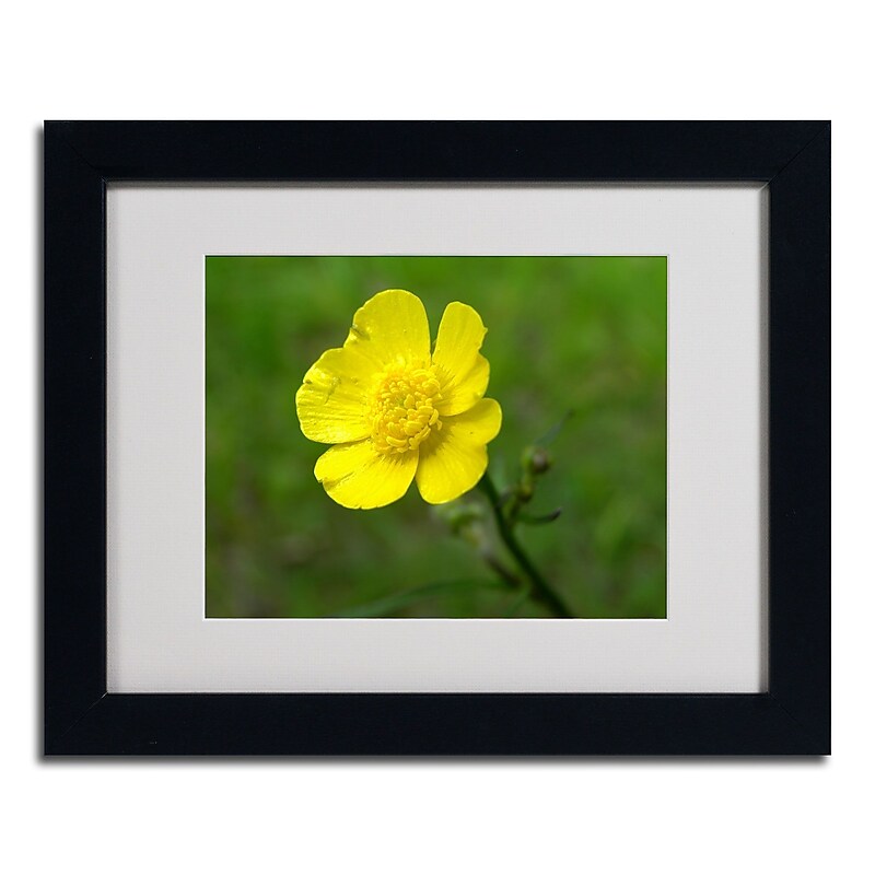 Trademark Monica Fleet "Unadorned" Art, White Matte W/Black Frame, 11" x 14" image 1