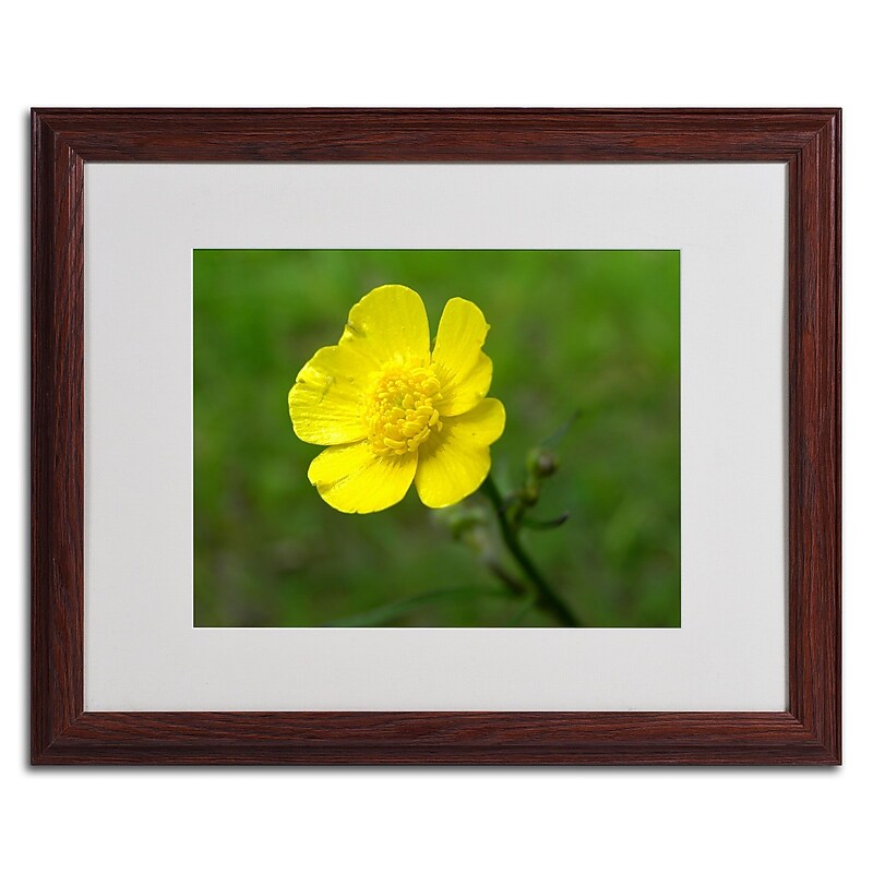 Trademark Monica Fleet "Unadorned" Art, White Matte W/Wood Frame, 16" x 20" image 1