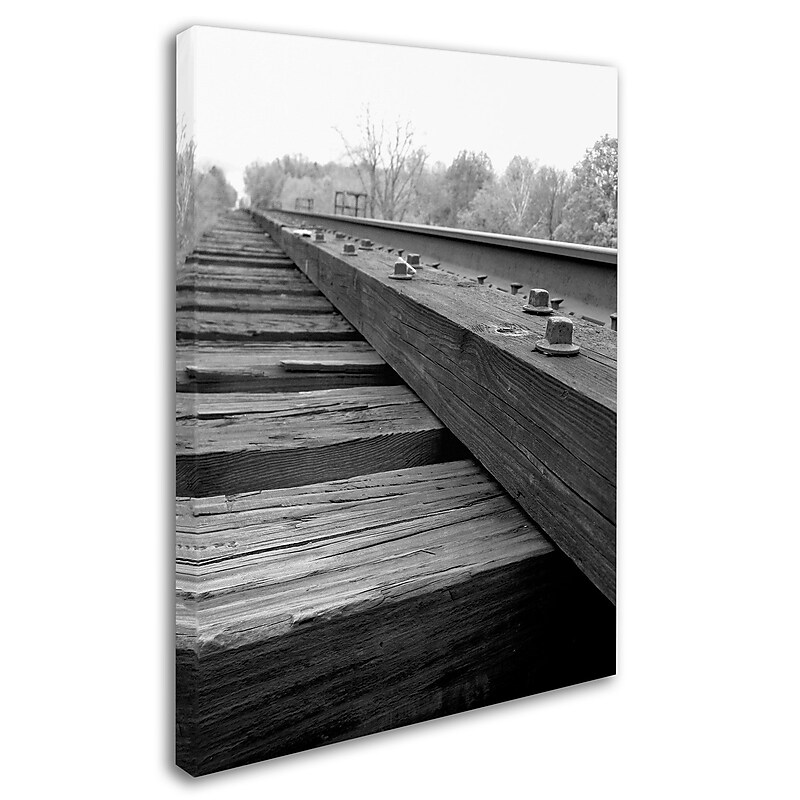Trademark Monica Fleet "Unfinished Flaw" Gallery-Wrapped Canvas Art, 35" x 47" image 1