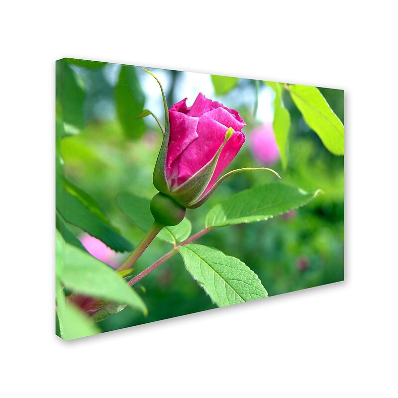 Trademark Monica Fleet "Unfolding Transformation" Gallery-Wrapped Canvas Art, 14" x 19" image 1