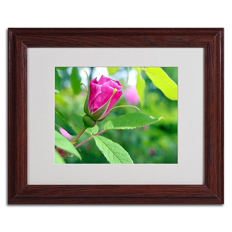 Trademark Monica Fleet "Unfolding Transformation" Art, White Matte W/Wood Frame, 11" x 14" image 1