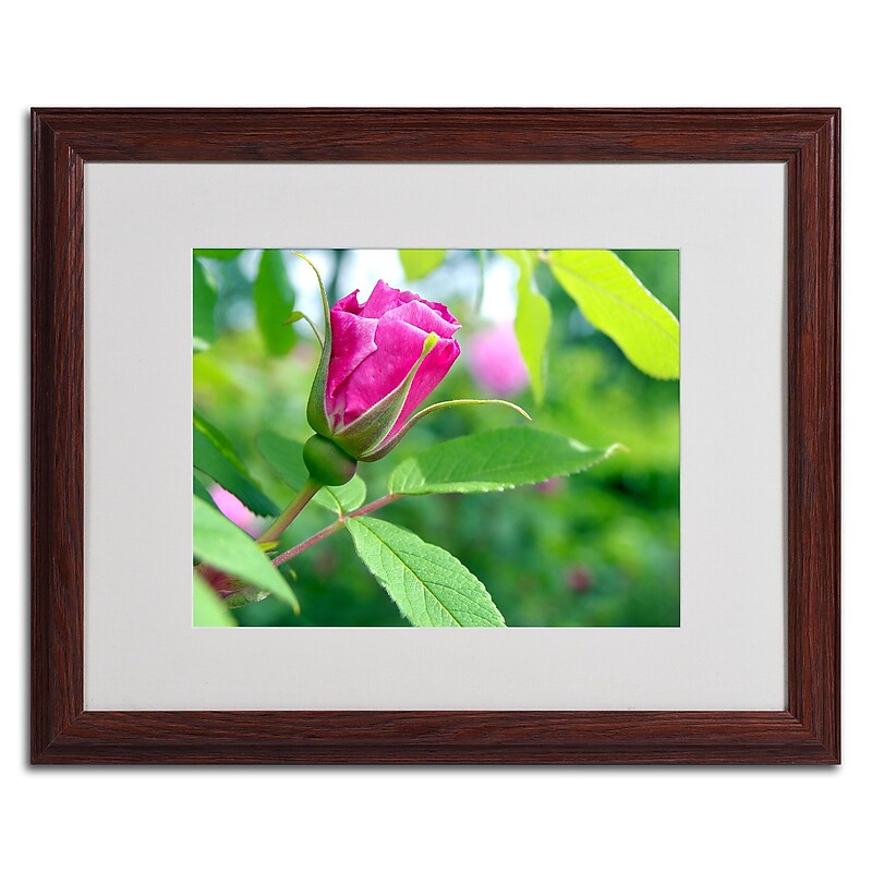 Trademark Monica Fleet "Unfolding Transformation" Art, White Matte W/Wood Frame, 16" x 20" image 1